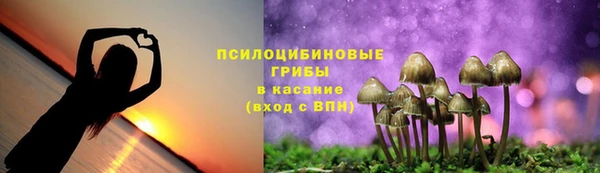 apvp Белоозёрский