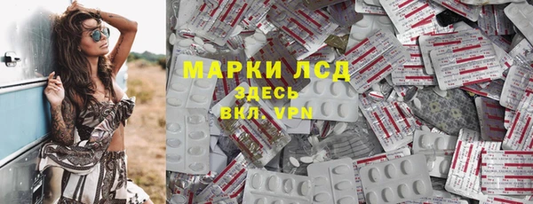 сатива Слюдянка