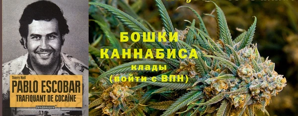 марки lsd Белокуриха