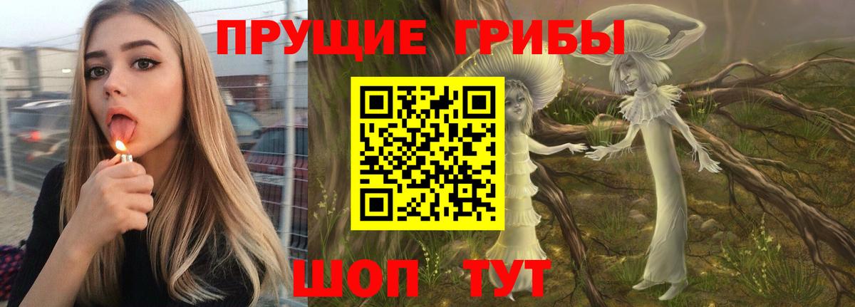 Псилоцибиновые грибы MAGIC MUSHROOMS  Вход с VPN  Галлюциногенные грибы Psilocybe  Бузулук 