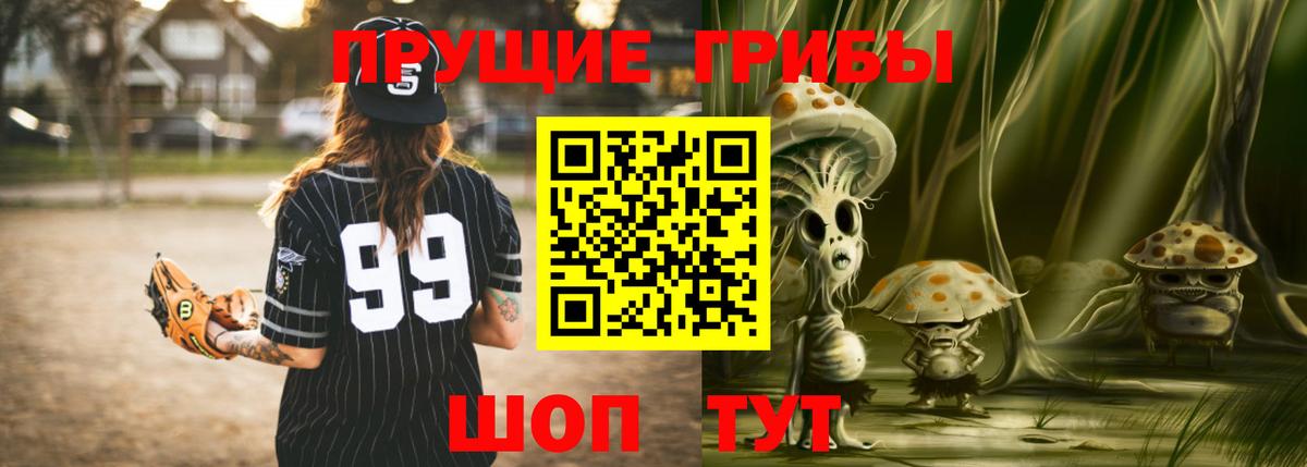 Галлюциногенные грибы Psilocybe Бузулук